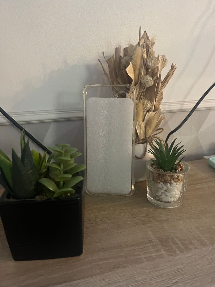 Coque - photo numéro 2