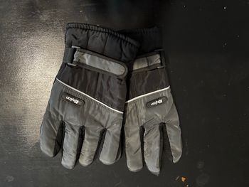 Gants