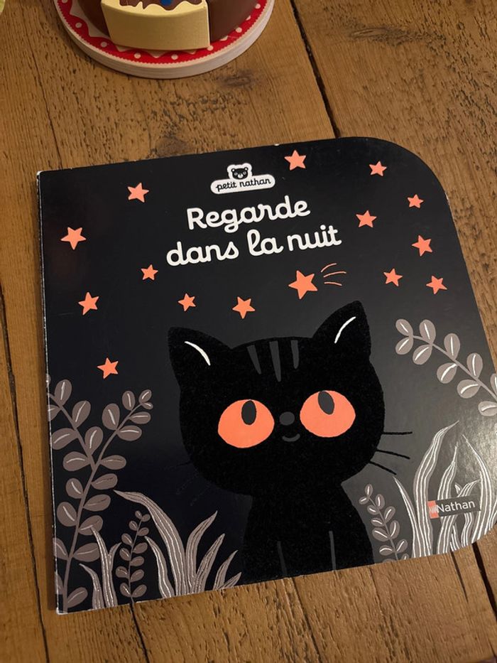 Livre Regarde dans la nuit Nathan