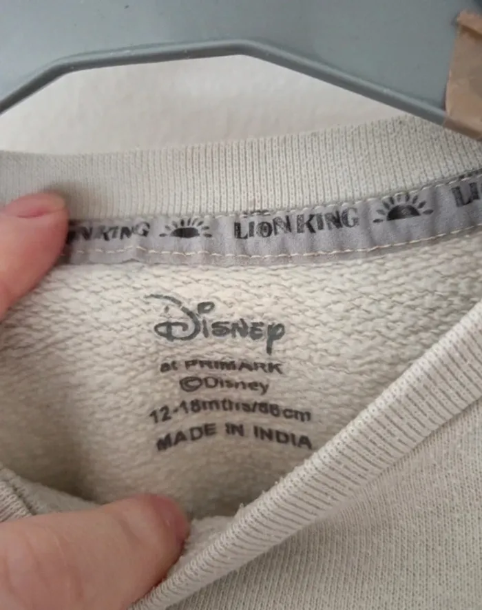 Pulls disney primark simba - photo numéro 4