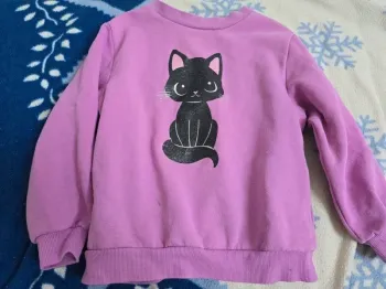 pull chat noir pailleté