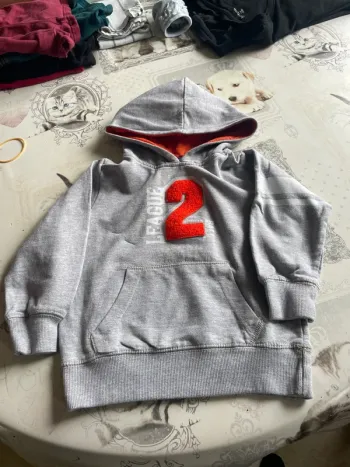 Sweat-shirt à capuche garçon 3 ans