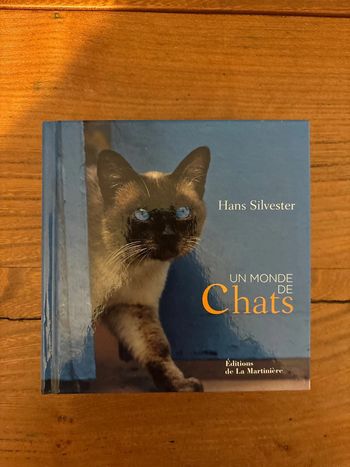 Un monde de chats