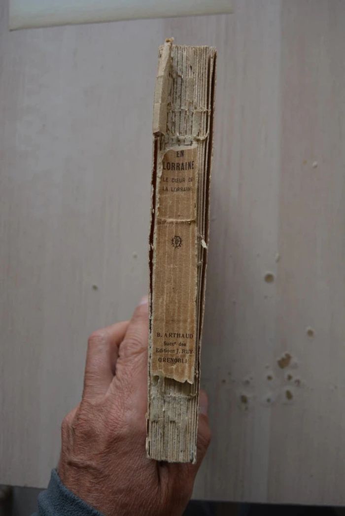 en lorraine, le cœur de la lorraine - photo numéro 6