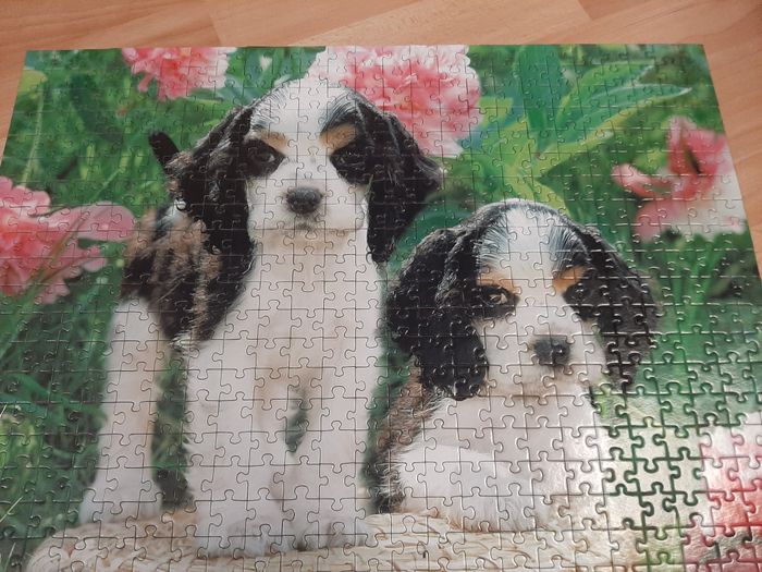 Puzzle 500 pieces chiens - photo numéro 3
