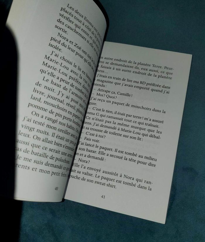 livre " vive le cm2 " la classe de neige et de copines - photo numéro 3
