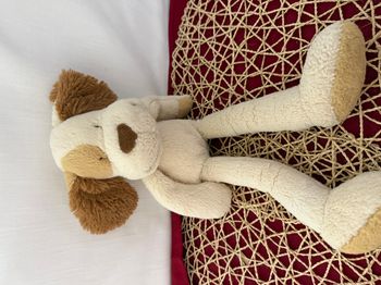 Doudou Chien Blanc Cassé Oreilles Marron Nicotoy