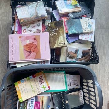Lot revendeur 100 livres divers