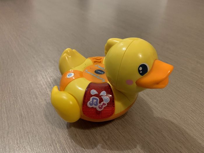 Canard vtech