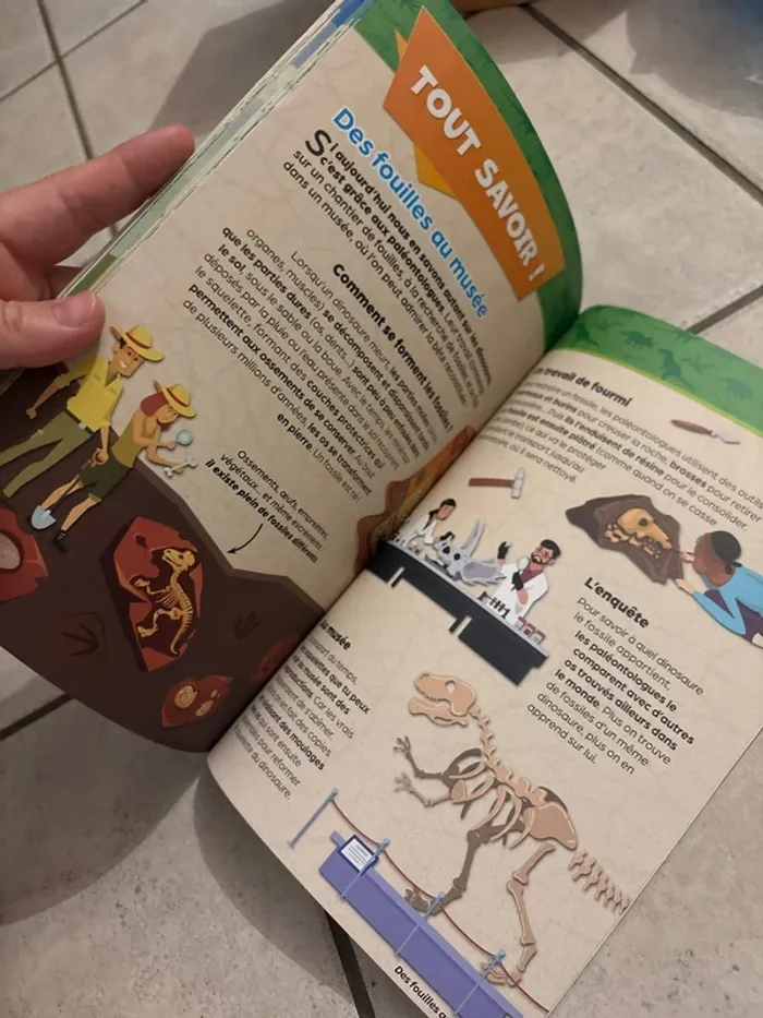 Livres infos activités dinosaures - photo numéro 9