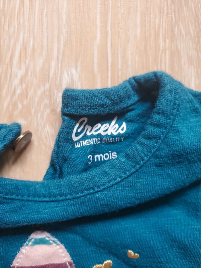 Lot de 2 t-shirts Creeks - photo numéro 5