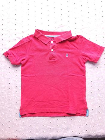 Polo rose