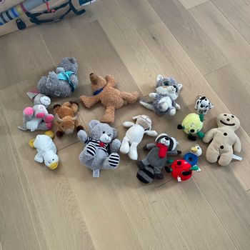 Peluche