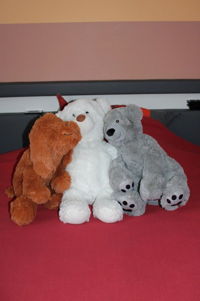 Lot de 3 belles peluches (2 nounours et 1 chien) - photo numéro 6