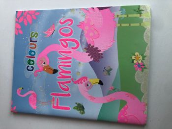 Livre de coloriage Flamingos