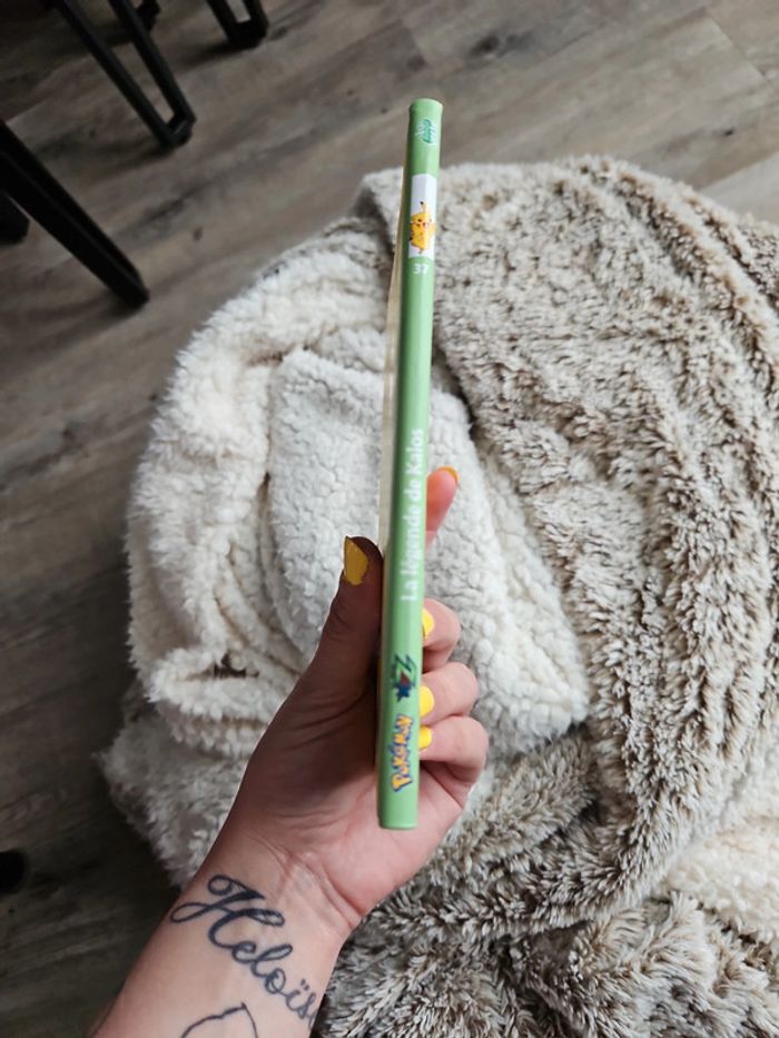 Livre pokémon - photo numéro 4