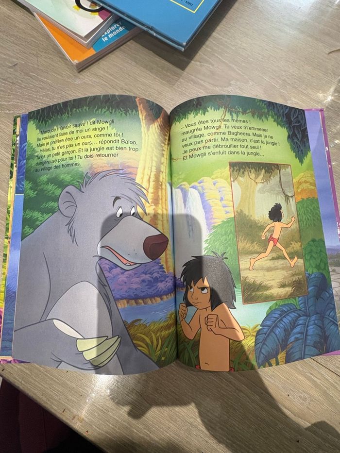 Le livre de la jungle - photo numéro 3