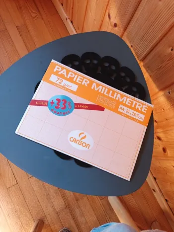 Lot de 16 Feuilles de papier millimétré Canson