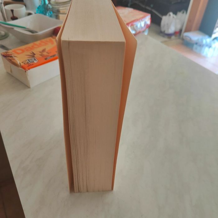 La découverte du ciel de Harry Mulisch - photo numéro 4