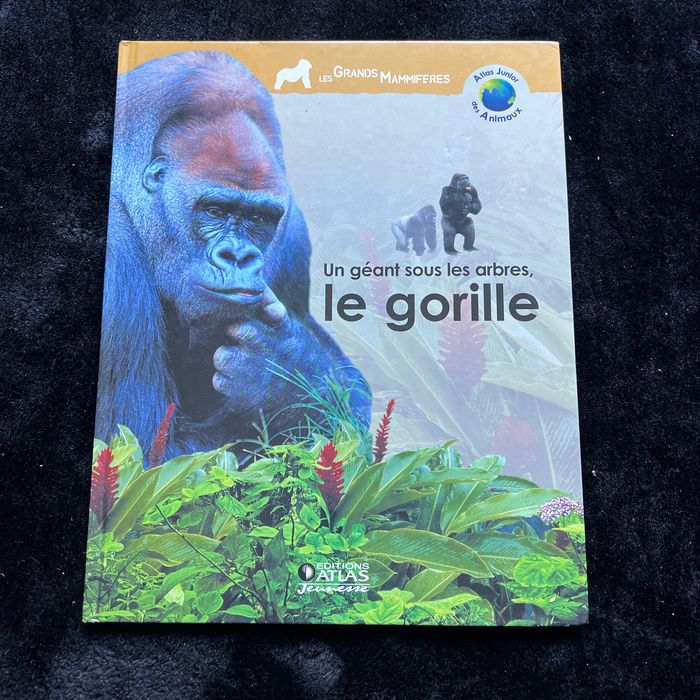 Un géant sous les arbres, le gorille