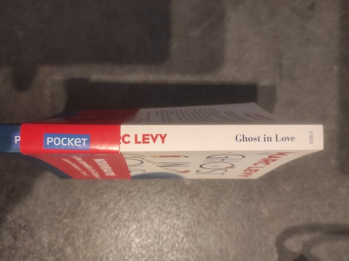 Ghost in Love Marc Lévy - Pocket 2019 - photo numéro 2