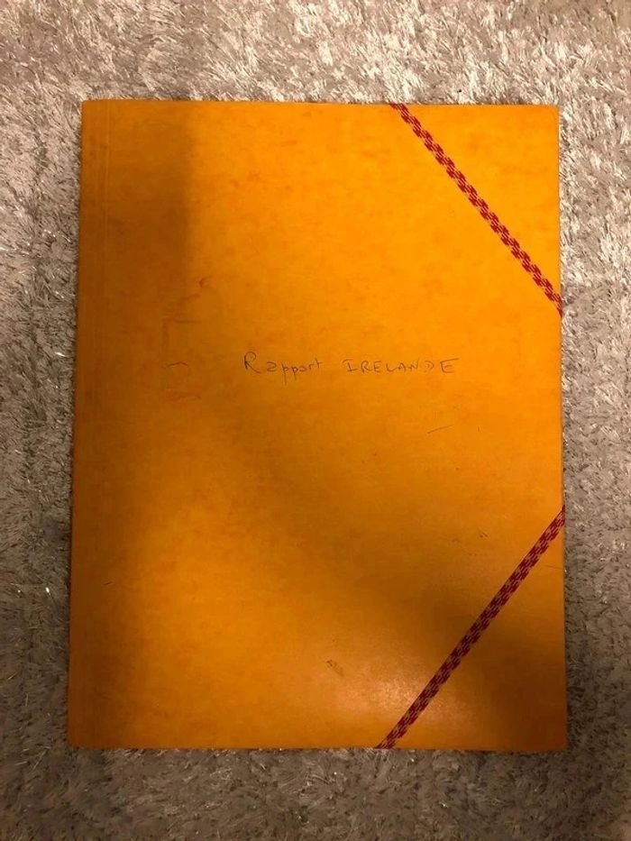 Lot de 6 pochettes à rabats A4 - photo numéro 5