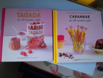 Lot de 2 livres de recettes amusantes