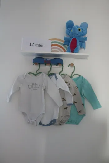 Lot bodies hiver garçon 12 mois
