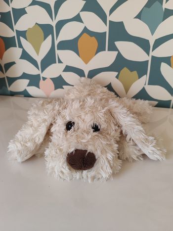 Peluche chien Bukowski 
