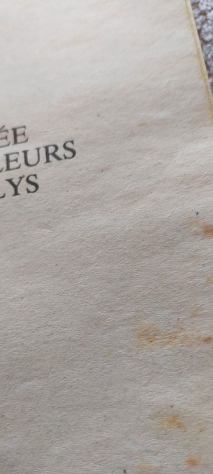 L'épée aux fleurs de lys de François Liensa - photo numéro 3