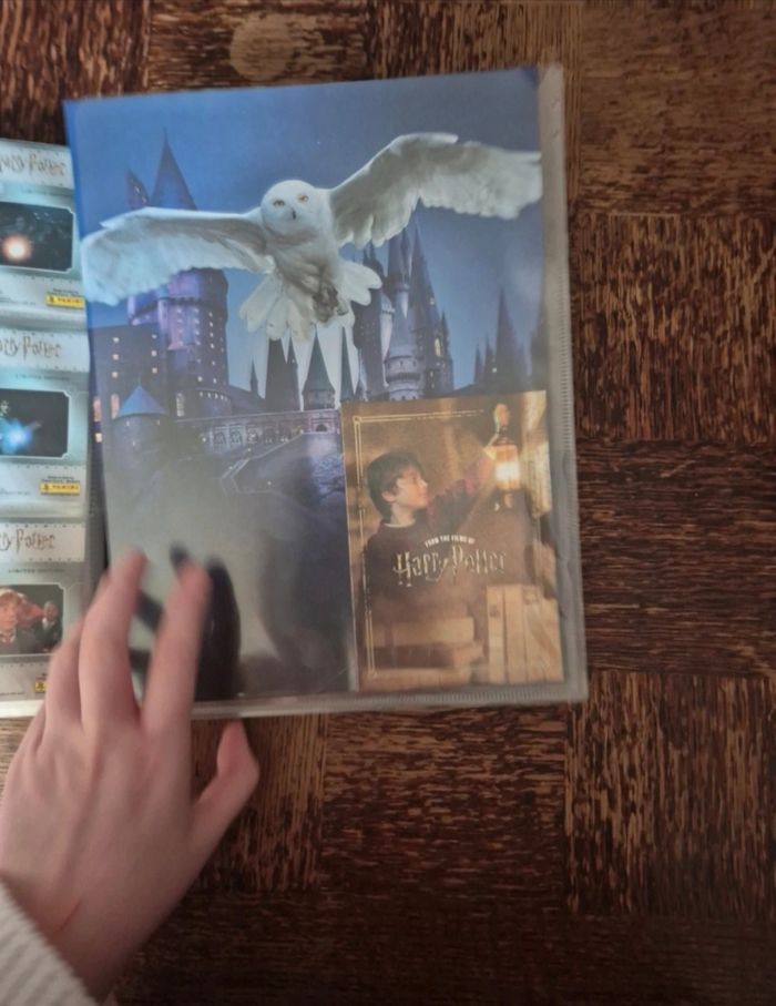 Harry potter panini - photo numéro 9