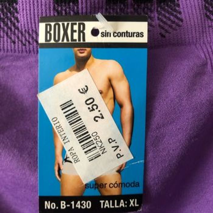 Boxer - photo numéro 3