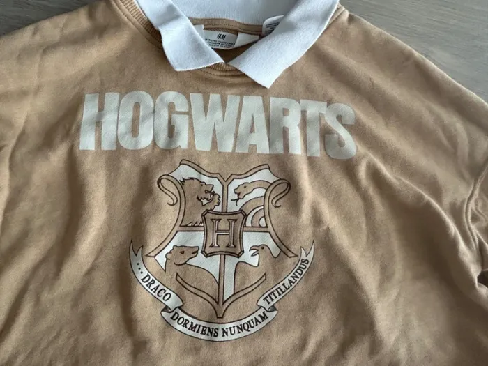 Pull mi-saison Harry Potter - photo numéro 2