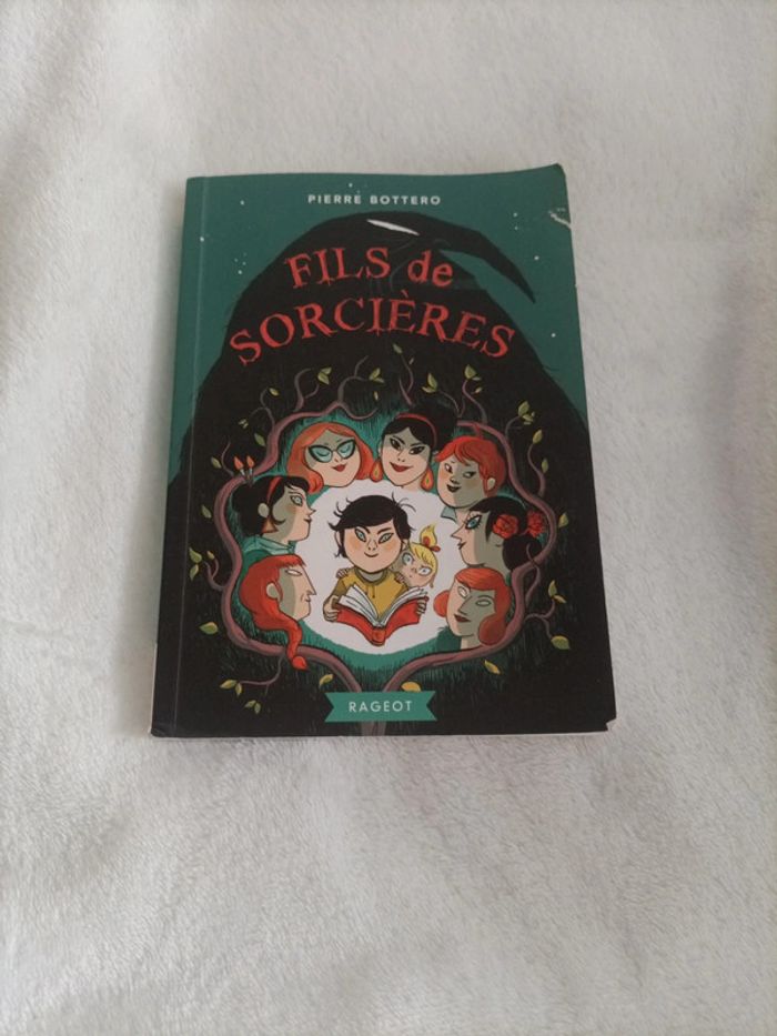 Fils de sorcière – Pierre Bottero