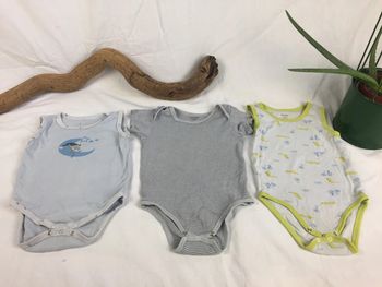 Lot de 3 bodies manches courtes 18 mois / 2 ans