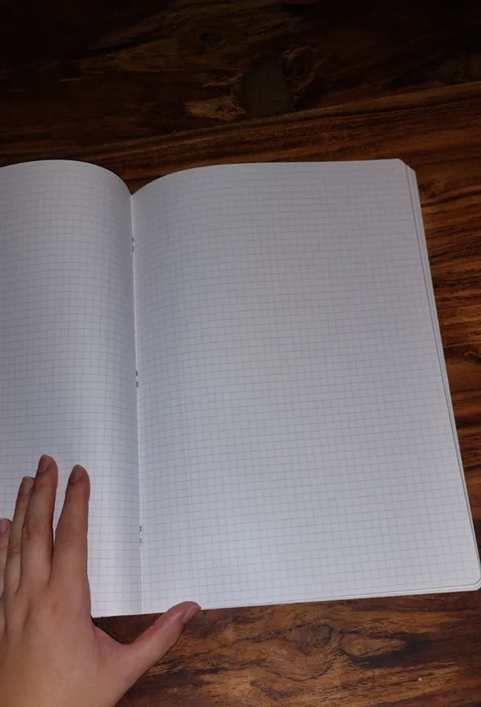 Cahier quadrillé - photo numéro 2