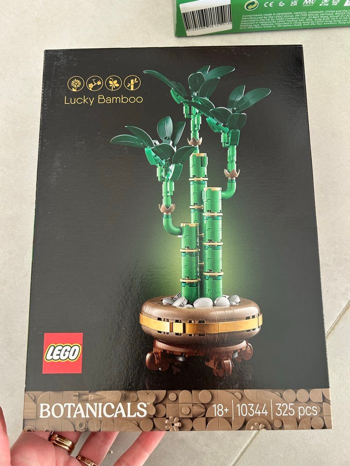 Lego bambou 10344