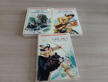 Lot de 3 livres, Divers (idéal bibliothèque)(9)