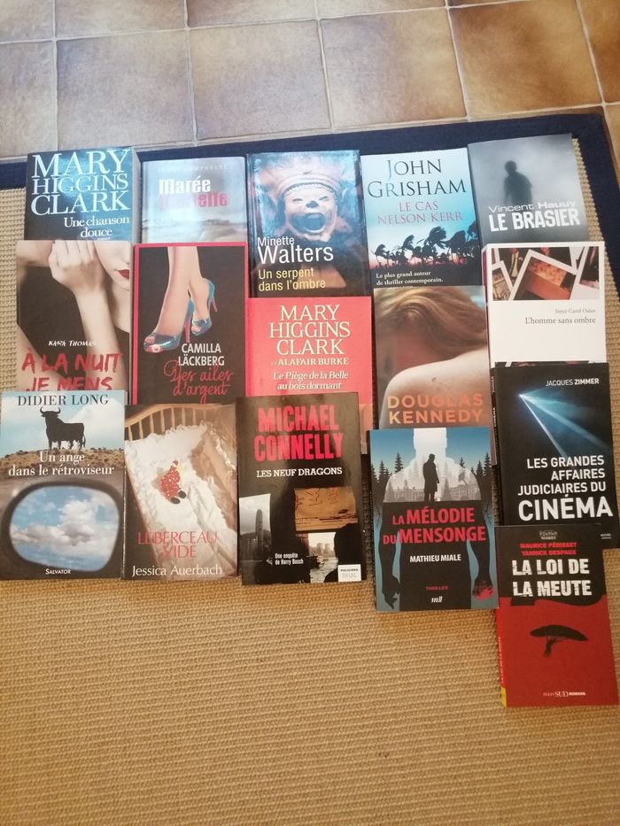 Livres - photo numéro 3