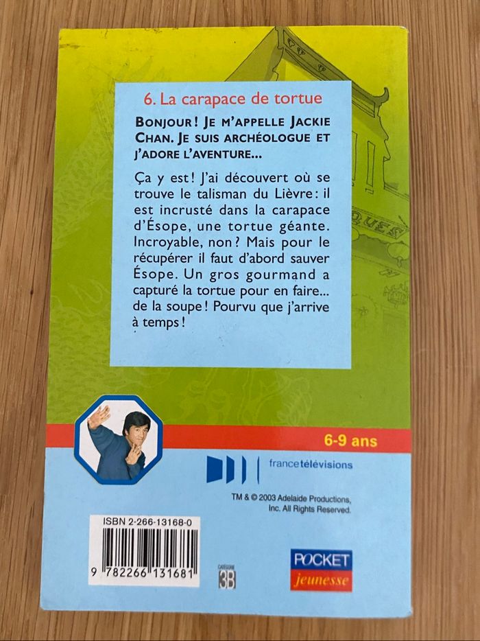 La carapace de tortue - photo numéro 2