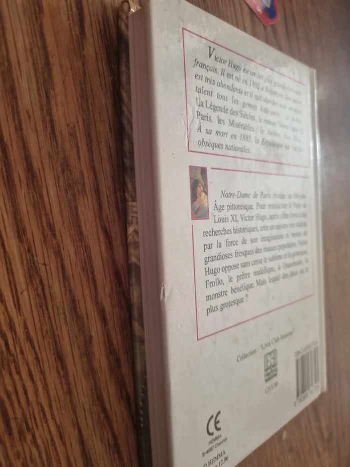 Notre Dame de Paris Victor Hugo - photo numéro 11
