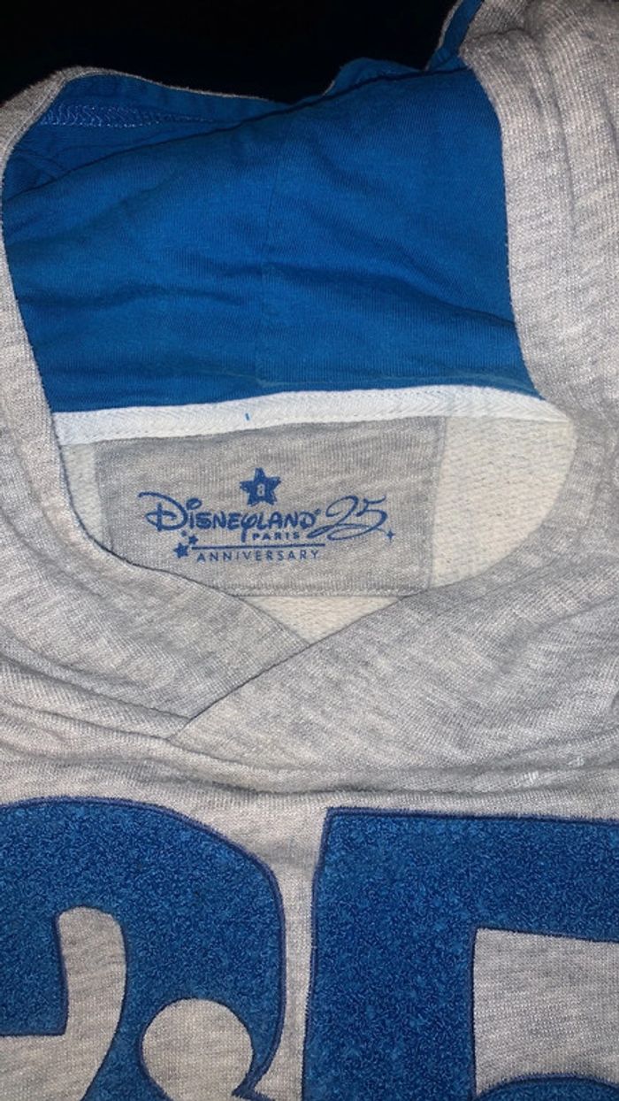 Sweat Disney 8 ans - photo numéro 2