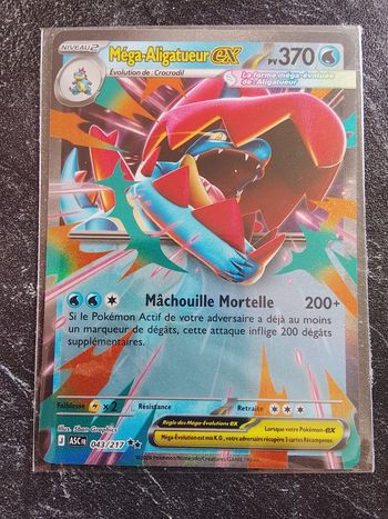 Carte Pokémon français 