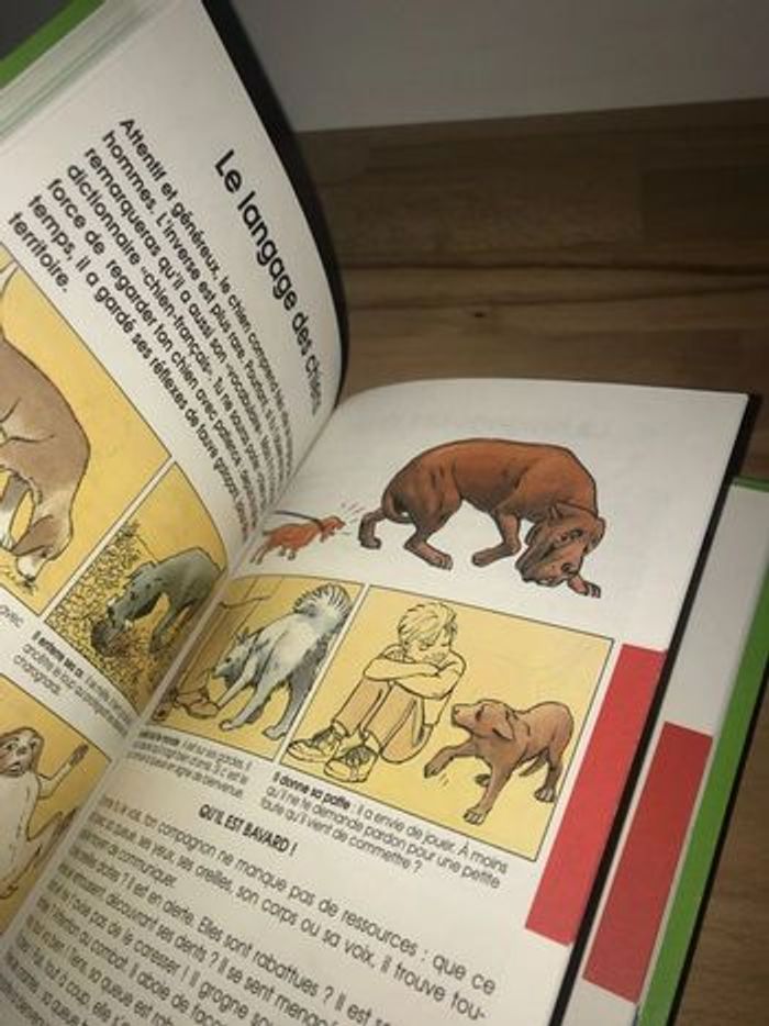 1991 livret mes carnets futés: le chien à partir de 9 ans - photo numéro 14