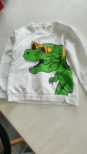 Pull dinosaures garçon