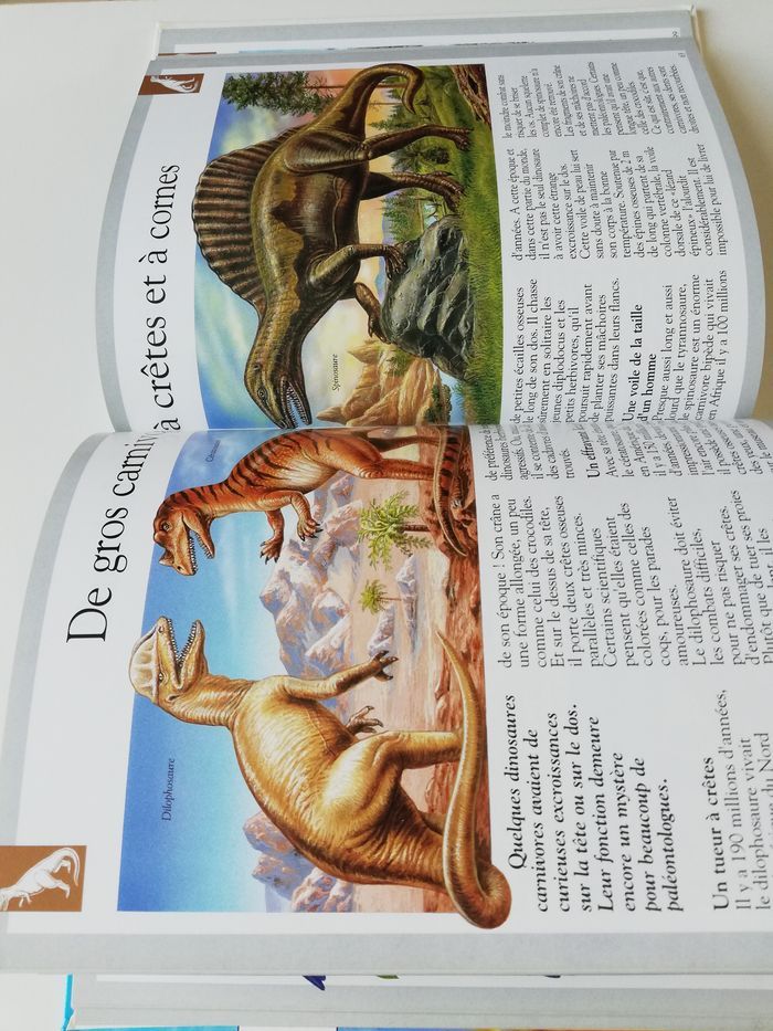 livre imagia dinosaures - photo numéro 5