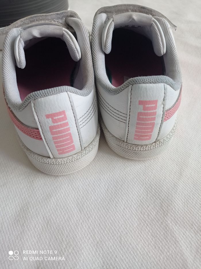 Puma à scratch - photo numéro 5