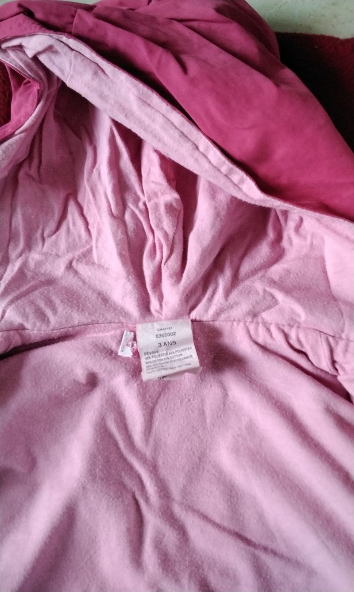Blouson à capuche,  fermeture et pressions  ,poches,  papillon  ,Graine D 'Eveil, 3 ans - photo numéro 4
