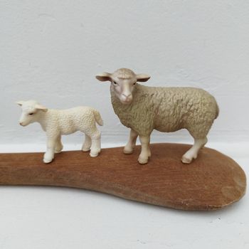 Mouton et agneau 
