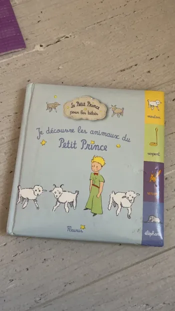 Livre le petit prince pour les bébés